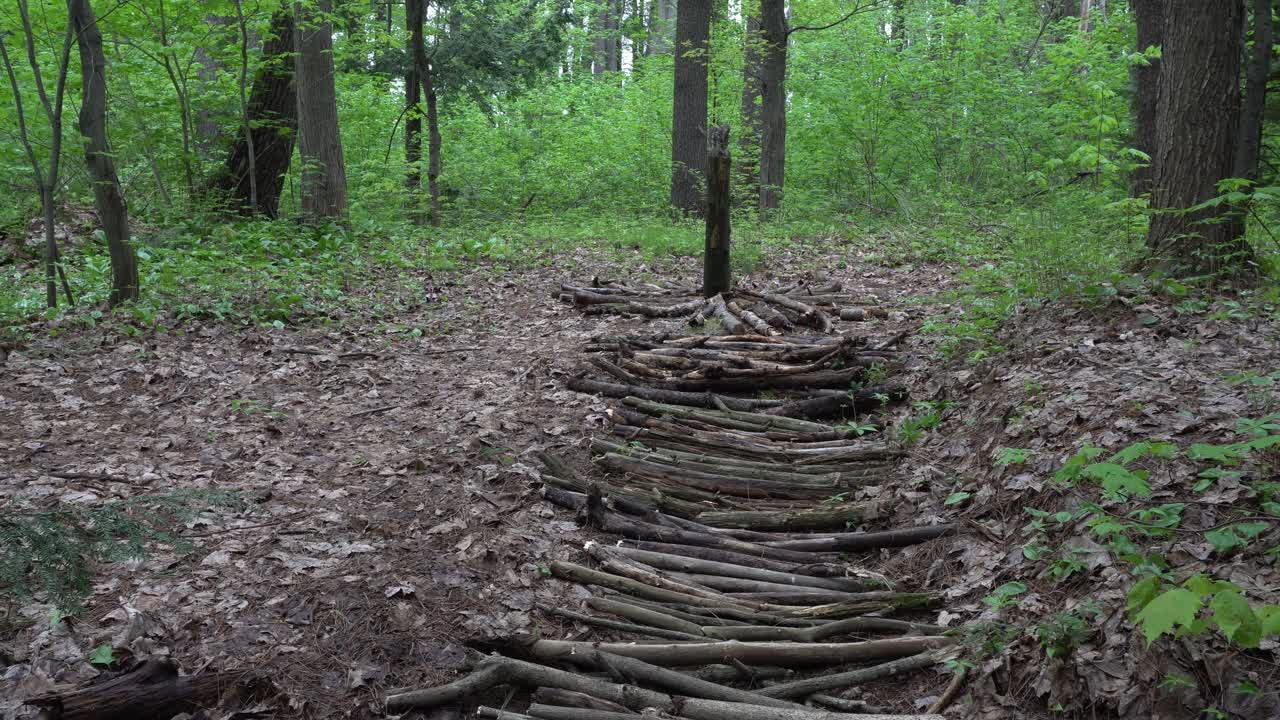 A work of art made from tree branches aligned on the ground to create the shape of a tree. All of this is set in a forest with many trees and lush greenery