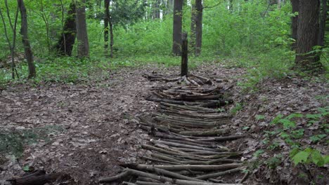 a work of art made from tree branches aligned on the ground to create the shape of a tree. all of this is set in a forest with many trees and lush greenery