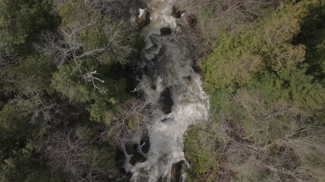 una cascada rodeada de árboles exuberantes y desnudos en owen sound, canadá, vista aérea