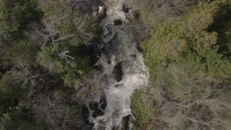 A-waterfall-surrounded-by-lush-and-bare-trees-in-owen-sound,-canada,-aerial-view