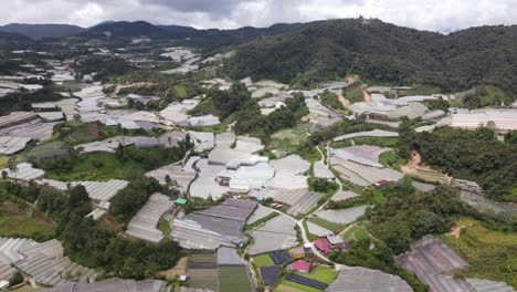 general landscape view of the brinchang district within the cameron highlands area of malaysia