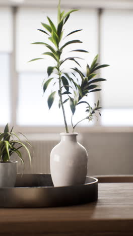 a white vase with a green plant on a wooden table