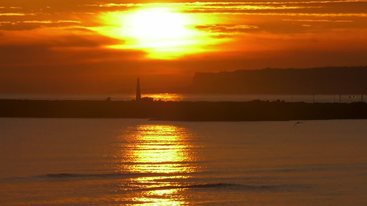 Golden Sunrise over harbor with gull flying, slow motion