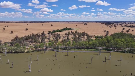 Antena-Moviéndose-Junto-A-Un-Puente-Peatonal-Sobre-El-Lago-Mulwala,-Nueva-Gales-Del-Sur,-Australia,-Con-Tierras-De-Cultivo-Más-Allá