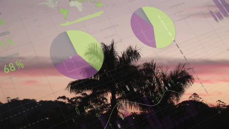 financial data charts and graphs animation over tropical landscape at sunset