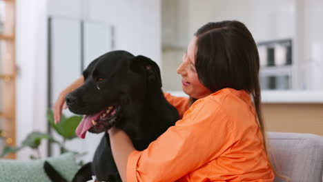 woman, dog and hugging on sofa together in living