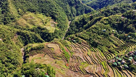 imágenes de drones soleados de las famosas terrazas de arroz de batad en el norte de filipinas