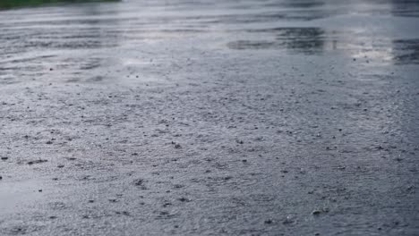 in the rainy season, eastern india receives heavy rainfall during the rainy season