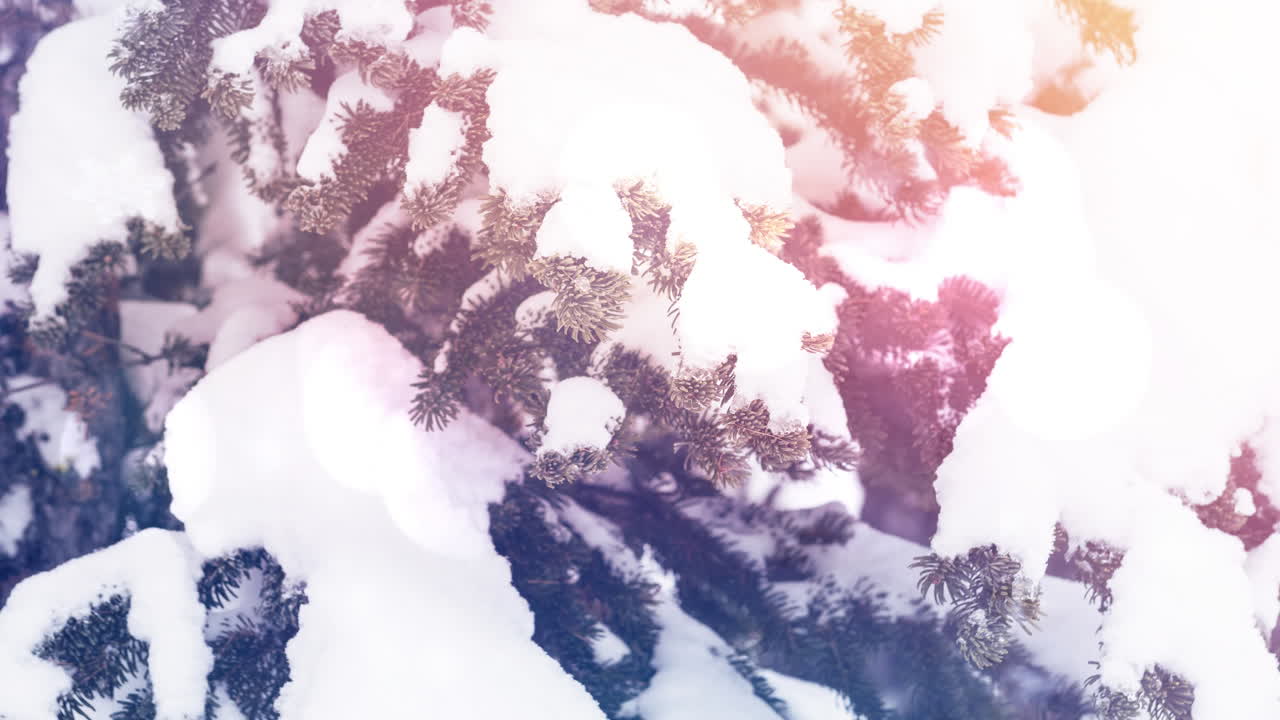 Animazione di punti luce su neve che cade e paesaggio invernale