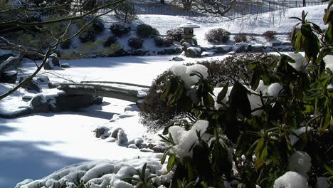 frozen pond with footbridge in a japanese garden in winter