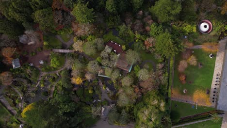 Top Down Aerial View, Japanese Tea Garden and House in Golden Gate Park, San Francisco CA USA, High Angle Drone Shot