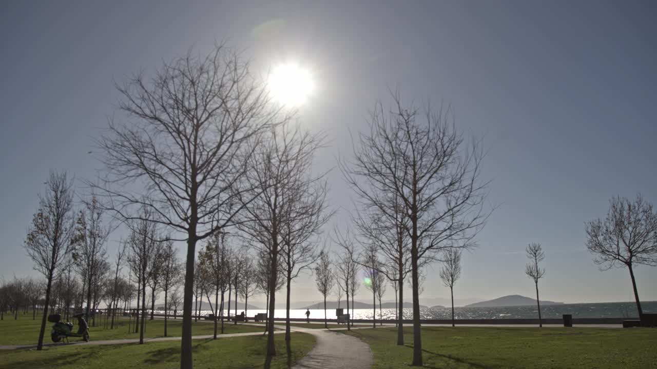 Peaceful Seaside Park in Winter