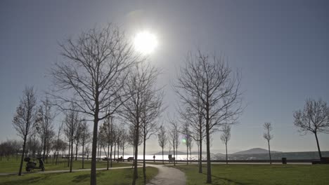 peaceful seaside park in winter