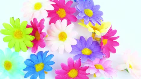 flores silvestres en un fondo blanco. vacaciones. día de la madre. día internacional de la mujer. día de san valentín.