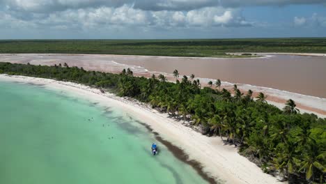 helicóptero pousando na praia de areia branca de playa el toro, na ilha de saona, na república dominicana, ao lado de turistas tomando banho.