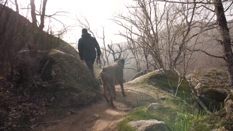 siga a nuestro gran perro boxeador mientras caminamos a través de las impresionantes montañas rocosas, explorando senderos escarpados y disfrutando juntos de la belleza de la naturaleza