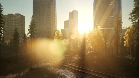 skyscrapes and the forest park at sunrise