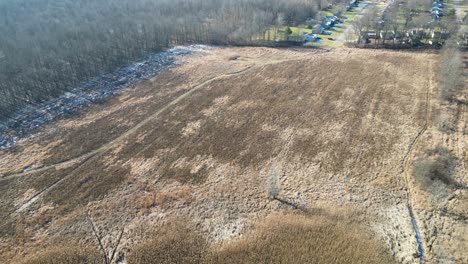 Toma-Aérea-De-Un-Campo-De-Maíz-Que-No-Se-Ha-Utilizado-En-Algunos-Años-En-El-Invierno