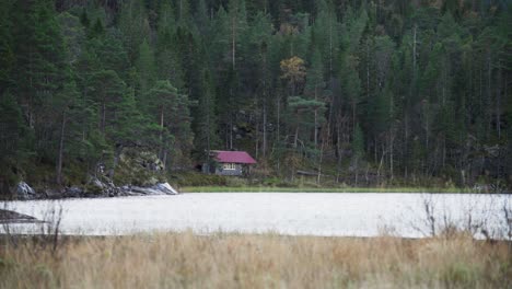 tranquil lake and surrounding lush vegetation in hildremsvatnet, norway - wide shot