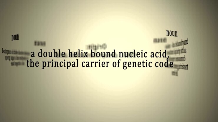 Definition: DNA