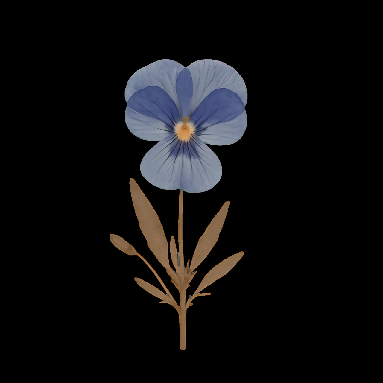 Zarte blaue Blumenillustration Animation als isoliertes Element, transparentes 4K-Video, Alphakanal