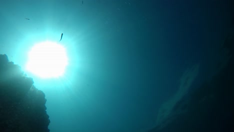 nadar y bucear con equipo de esnórquel disparado desde el fondo del mar mostrando el sol brillando a través del agua y la silueta del buzo descendiendo mientras los peces pequeños nadan alrededor