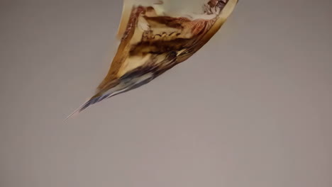 dinero volador