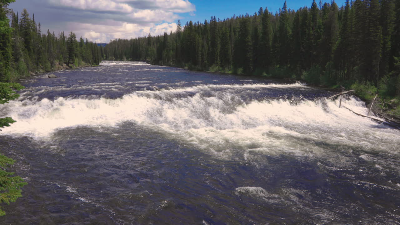Panorama Of Cave Falls With Rapids And Evergreen Forest In Yellowstone National Park, Wyoming, USA