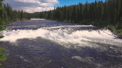 panorama of cave falls with rapids and evergreen forest in yellowstone national park, wyoming, usa