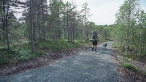 hombre con su perro mascota caminando por el sendero a través del bosque en el parque nacional anderdalen en senja, noruega