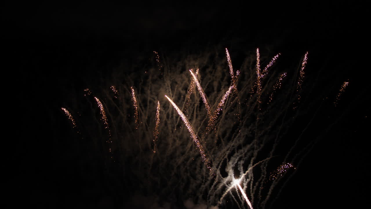Fuochi d'artificio esplodono nel cielo notturno durante la festa indiana di Diwali