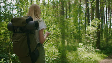 a young female tourist walks through the forest with a backpack and looks at the beauty of nature. tourism and hiking adventures. beautiful slender woman in shorts walking through the woods