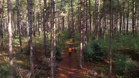 Den-Wald-In-Meiner-Stadt-Erkunden