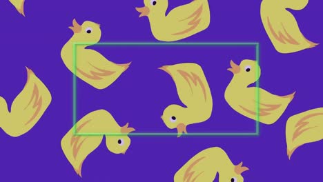 animation of frame over yellow ducks on blue background