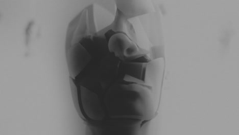 broken mannequin head shells in xray