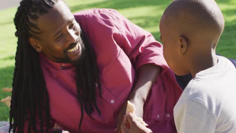 Video-of-happy-african-american-father-and-son-having-picnic-on-grass