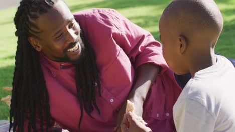 video of happy african american father and son having picnic on grass