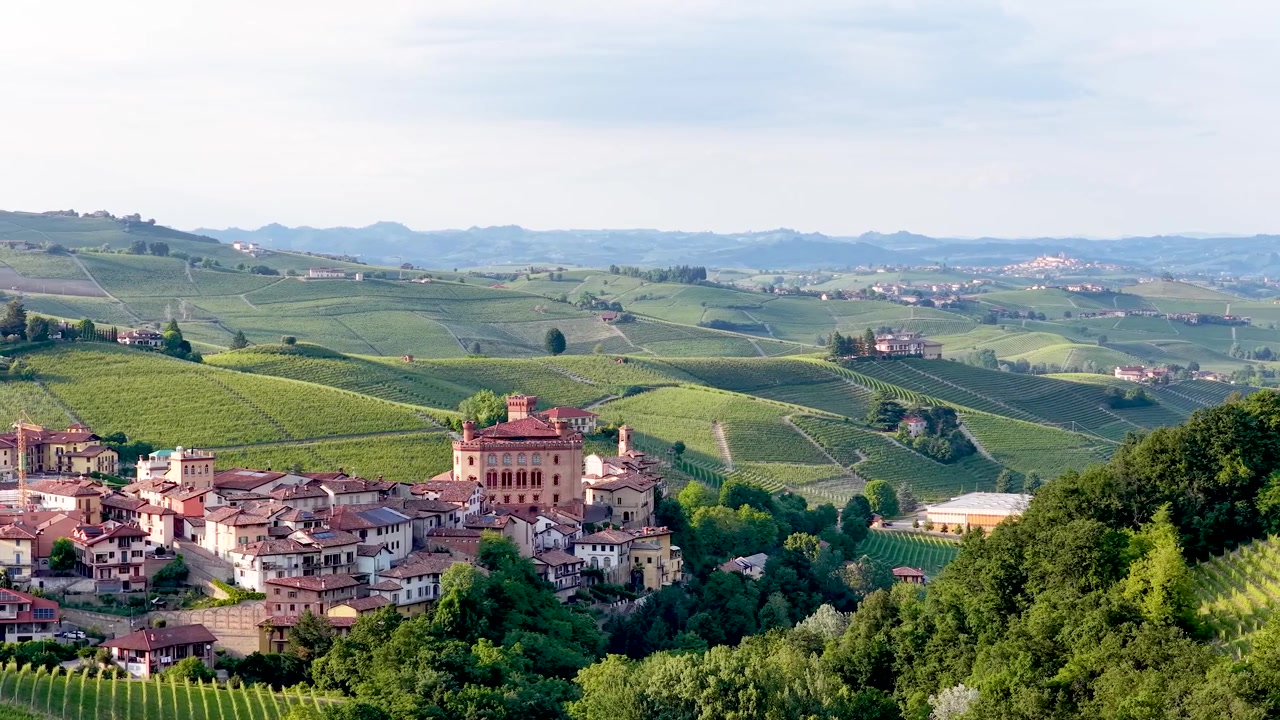 Ampia inquadratura statica del borgo e del castello di Barolo circondati da lussureggianti vigneti verdi italiani.