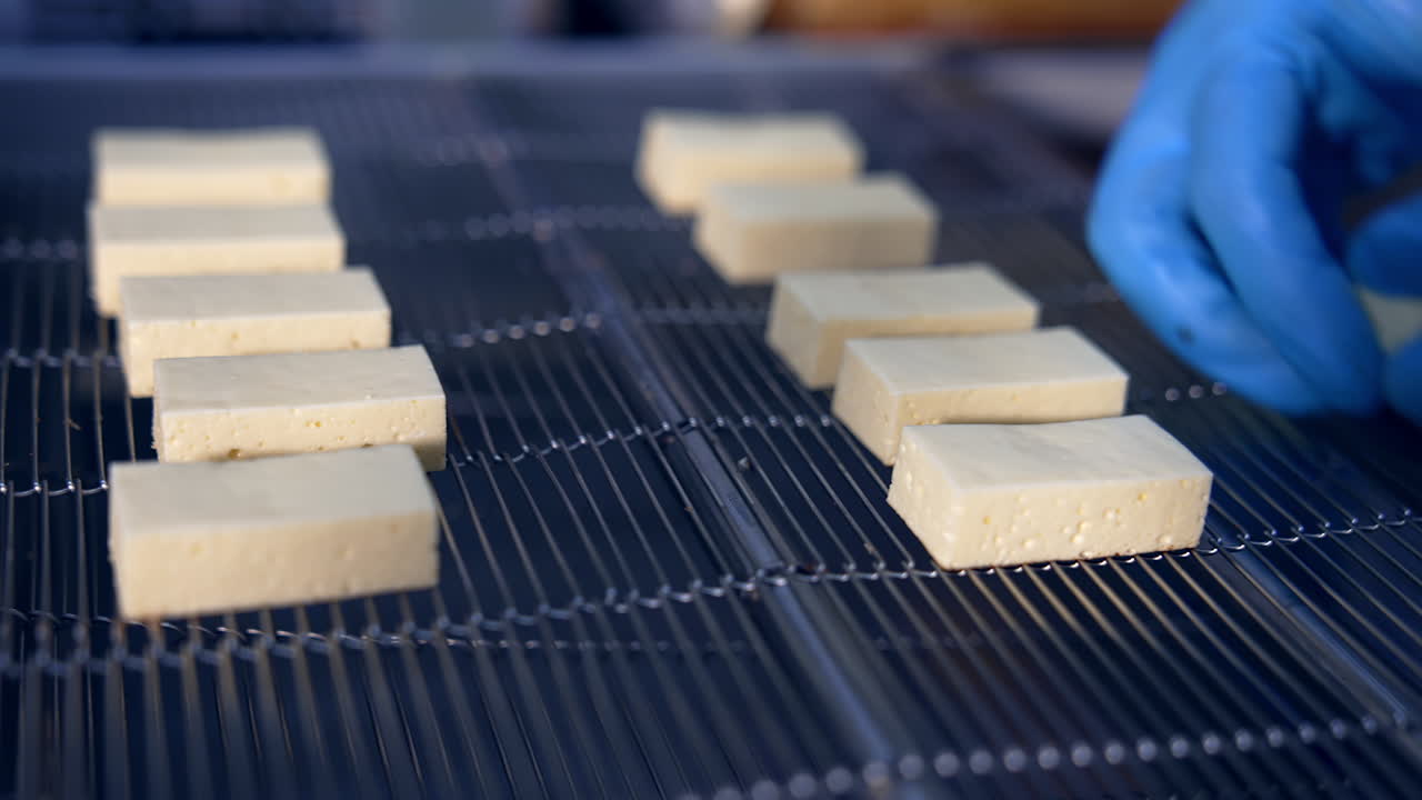 Hands in blue gloves lay out soft milky bars at the conveyor grid. Manufacturing of sweet desserts at the confectionery plant.