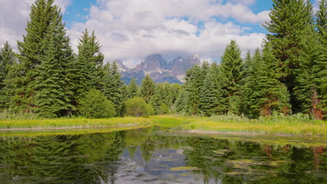 mountain range reflected in a calm pond surrounded by pine trees