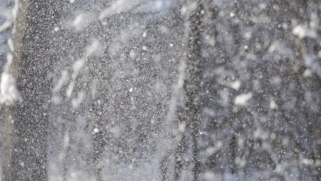 snow falling in the forest