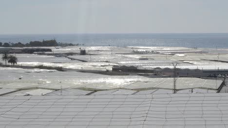 agricultural greenhouse plastic surface on a sunny day