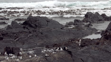 Waves-crashing-on-rocks-