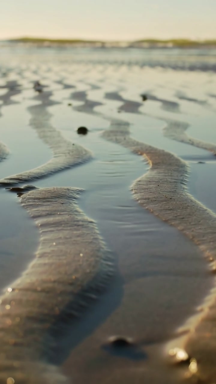 Vertical video: Panning camera revealing wet sand ripples at tidal beach, catching golden light