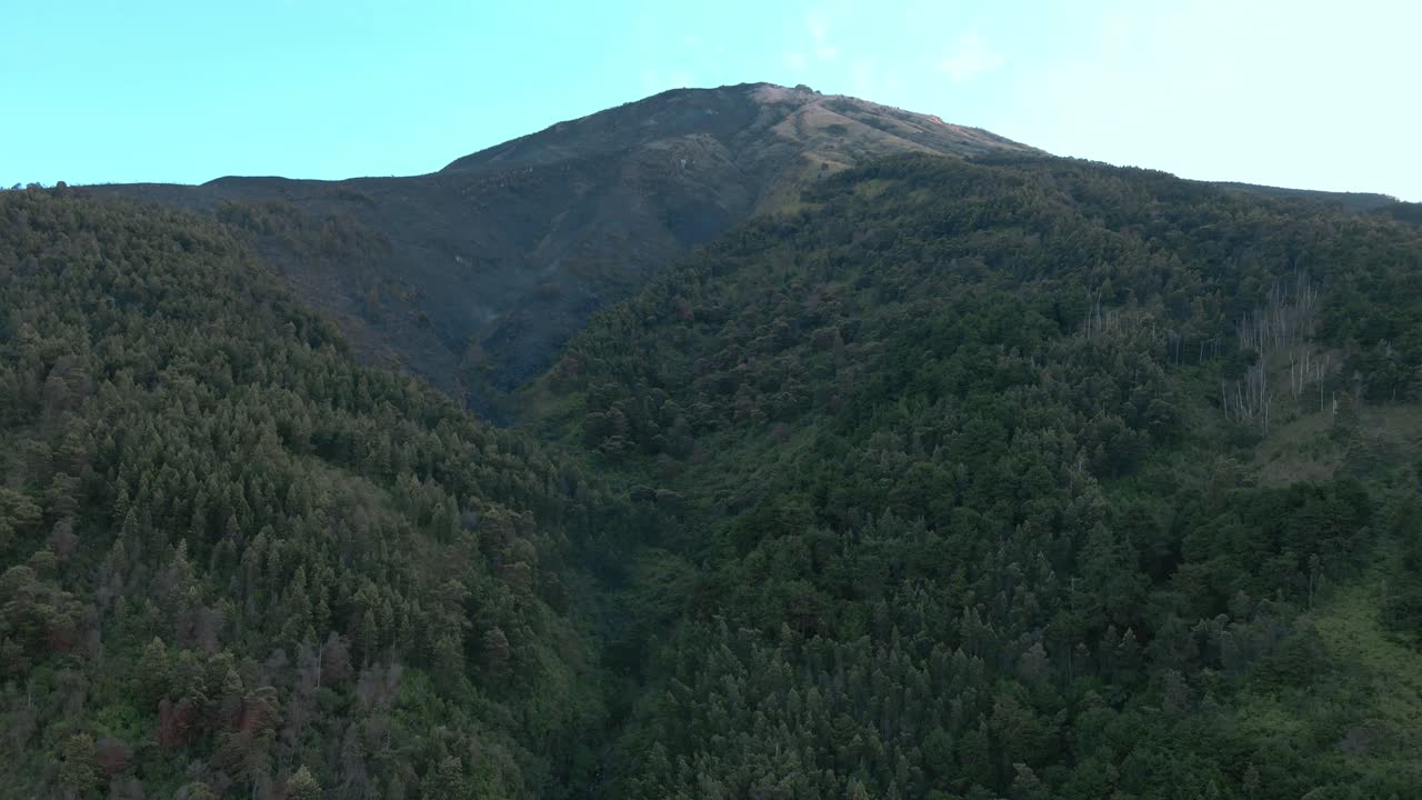 vasto bosque en mt sumbing, afectado por un incendio forestal