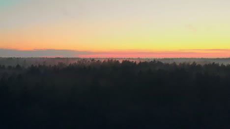 Astonishing-Crane-Shot-Of-Wild-Green-Forest-At-Sunset-Time,-Eastern-Europe