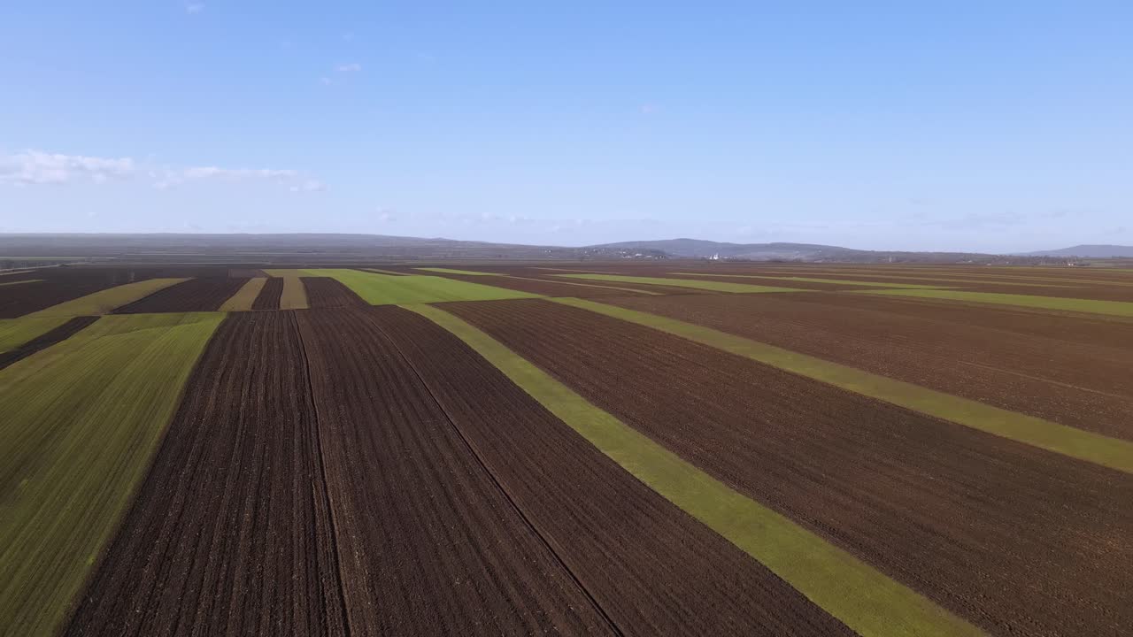 Weites gepflügtes Feld mit Pflanzen unter strahlend blauem Himmel in der Landschaft von Vrancea, Rumänien. Luftaufnahme.