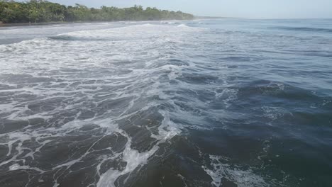 antena: la cámara sigue las olas del océano azul profundo hacia la isla con la jungla del bosque verde
