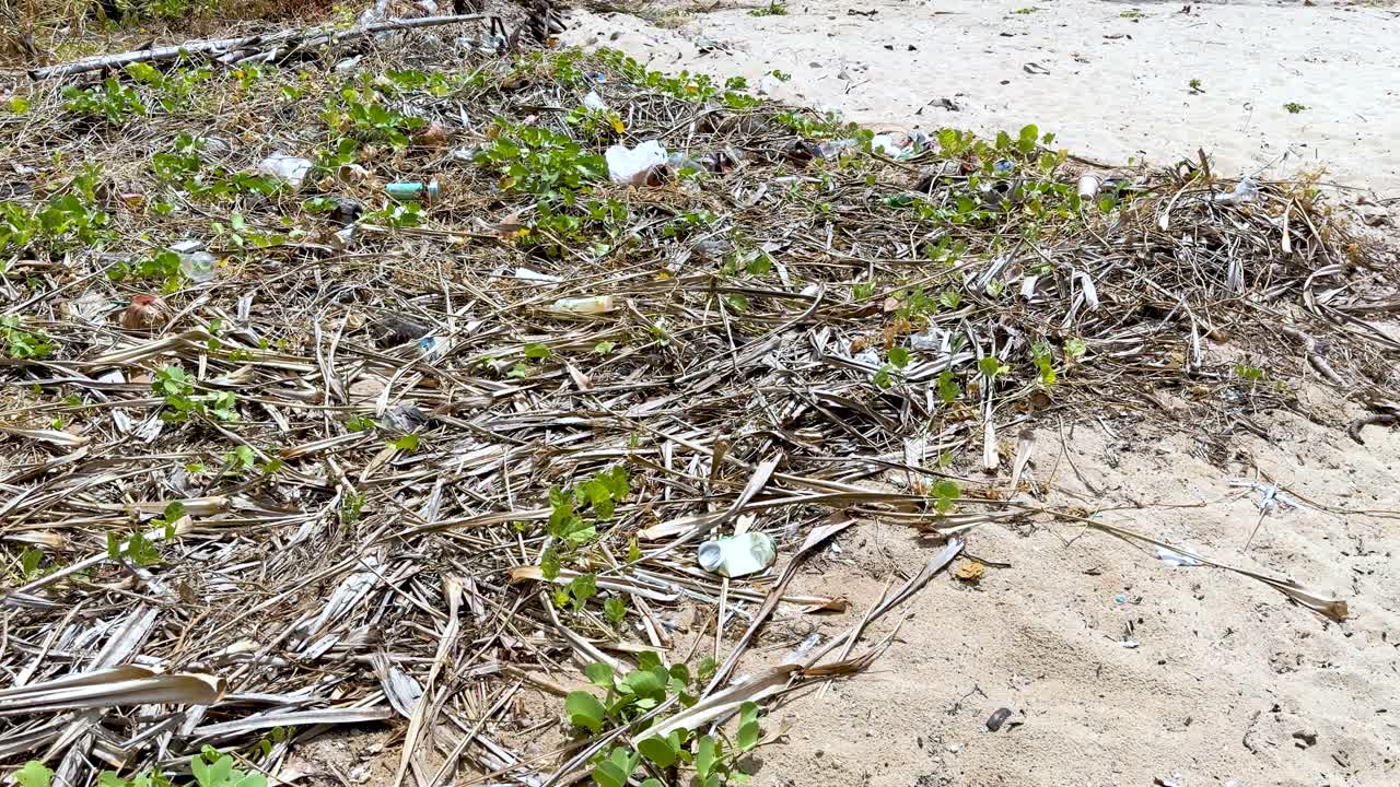 Un'inquadratura ampia e statica riprende bottiglie di plastica, sacchetti e detriti che inquinano una costa tropicale