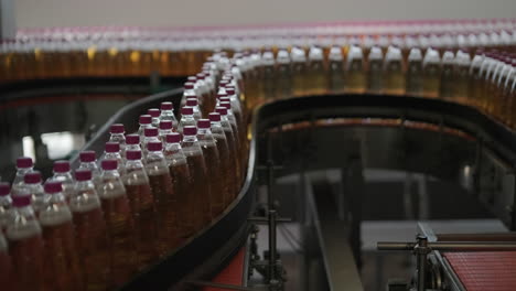 beverage bottles on a conveyor belt in a factory